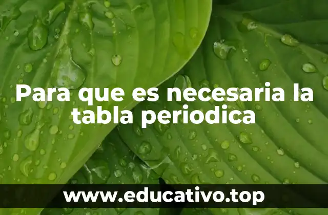 Cómo la tabla periódica facilita la comprensión de la química