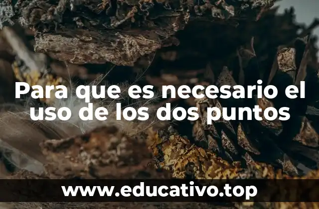 Para que es necesario el uso de los dos puntos