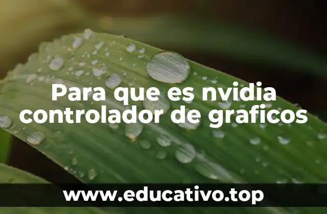 Para que es nvidia controlador de graficos