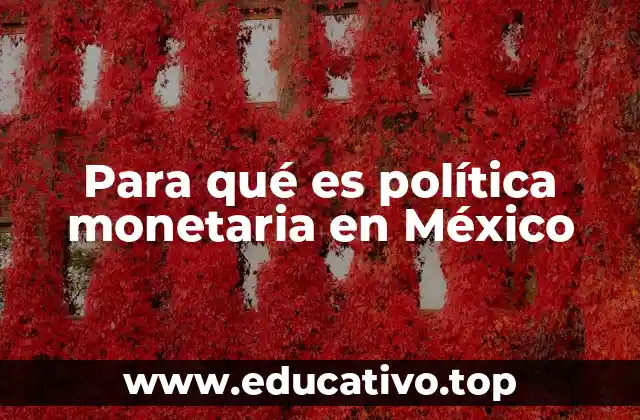 Para qué es política monetaria en México