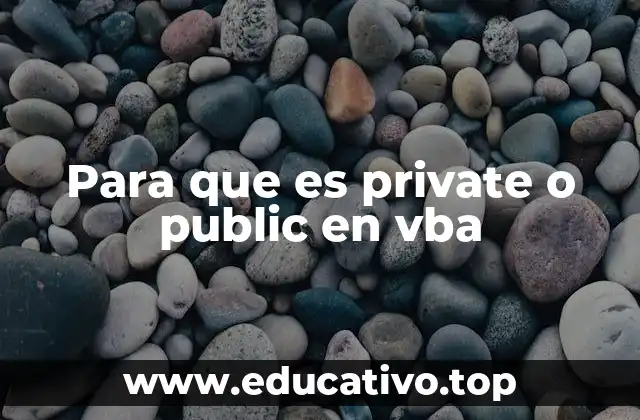 Para que es private o public en vba