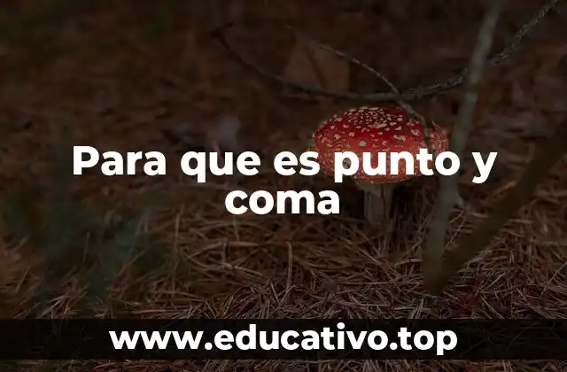 Para que es punto y coma