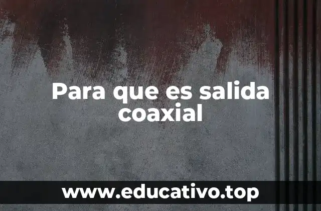 Para que es salida coaxial