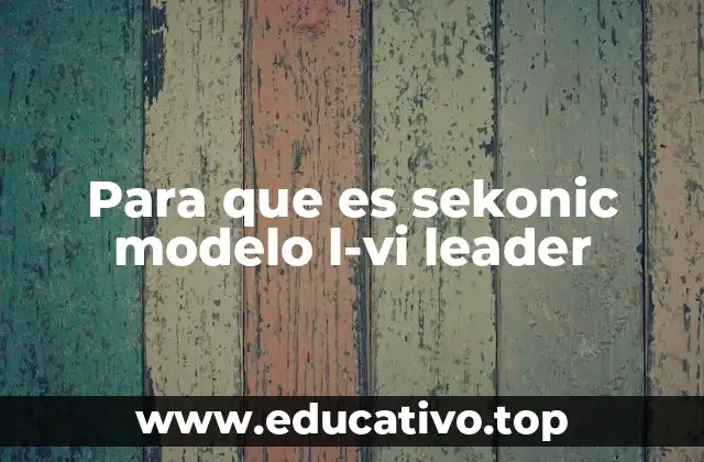 Para que es sekonic modelo l-vi leader