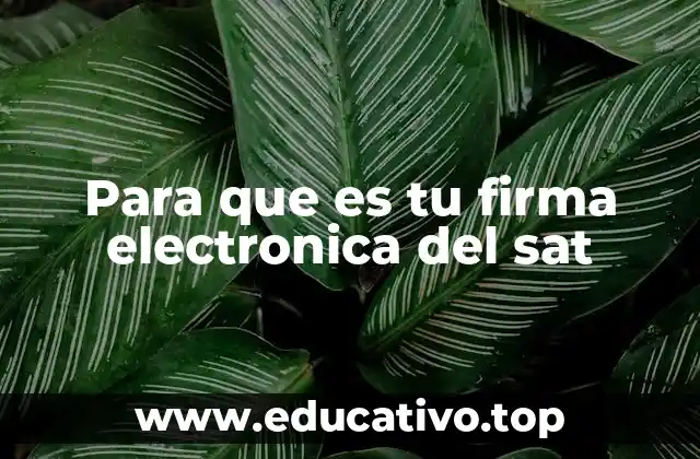 Para que es tu firma electronica del sat