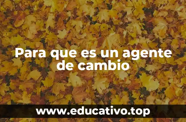 Para que es un agente de cambio