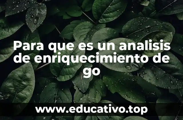 Para que es un analisis de enriquecimiento de go