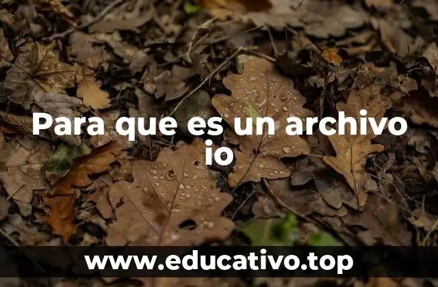 Para que es un archivo io