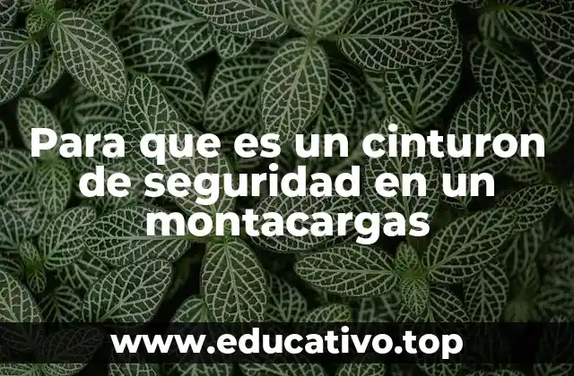 Para que es un cinturon de seguridad en un montacargas