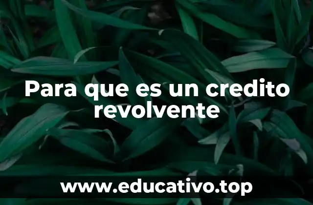 Para que es un credito revolvente