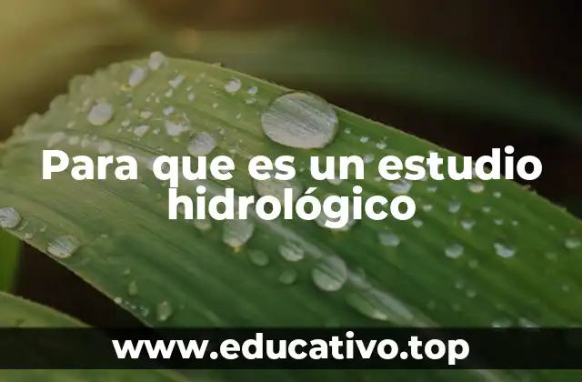 Para que es un estudio hidrológico