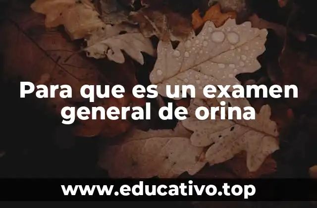 Para que es un examen general de orina