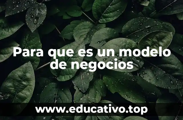 Para que es un modelo de negocios