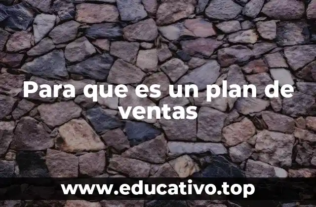 Para que es un plan de ventas