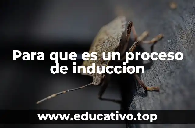 Para que es un proceso de induccion