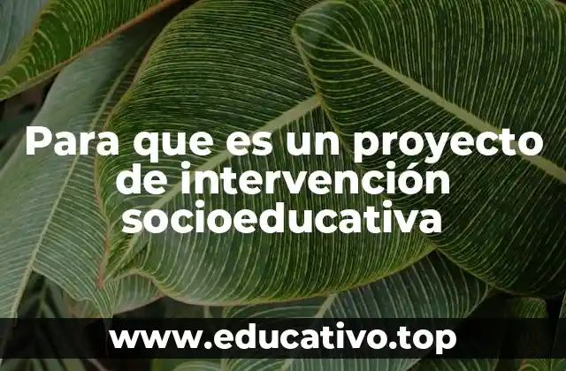 Para que es un proyecto de intervención socioeducativa