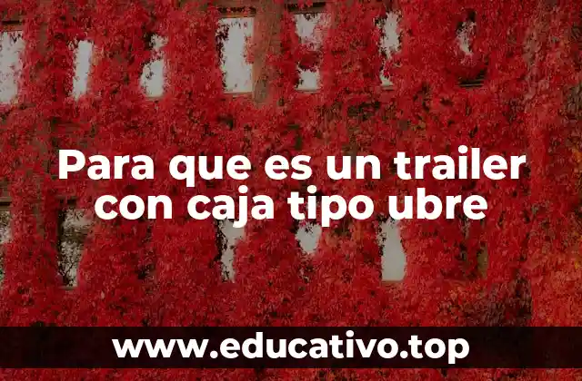 Para que es un trailer con caja tipo ubre