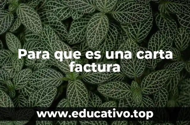 Para que es una carta factura