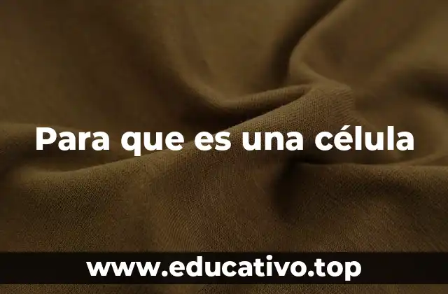 Para que es una célula