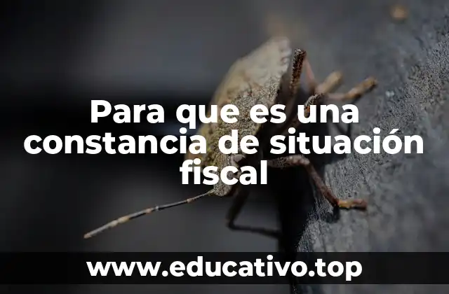 El papel de la constancia en el entorno laboral y financiero