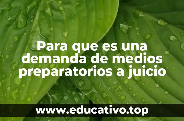 Para que es una demanda de medios preparatorios a juicio