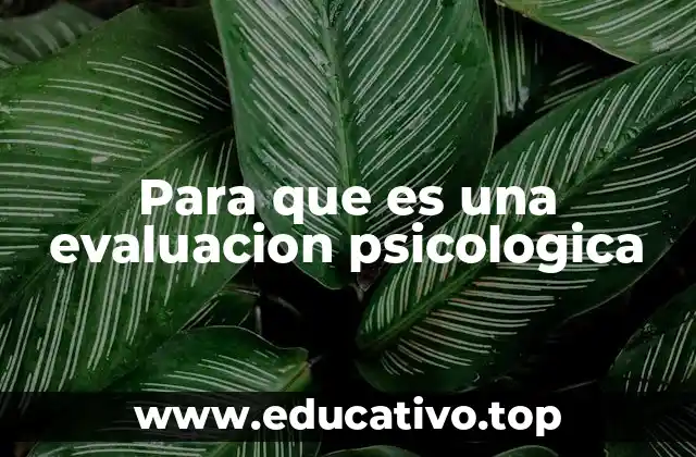 Para que es una evaluacion psicologica