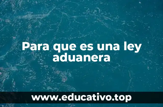 Para que es una ley aduanera