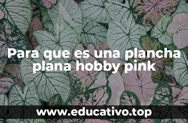 Para que es una plancha plana hobby pink