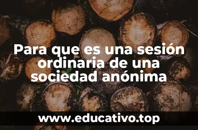 Para que es una sesión ordinaria de una sociedad anónima