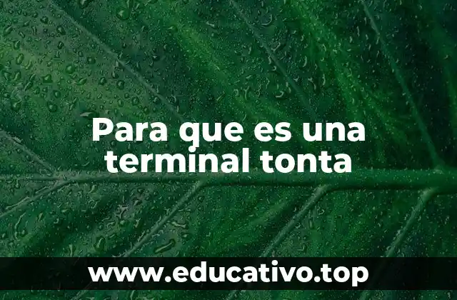 Para que es una terminal tonta