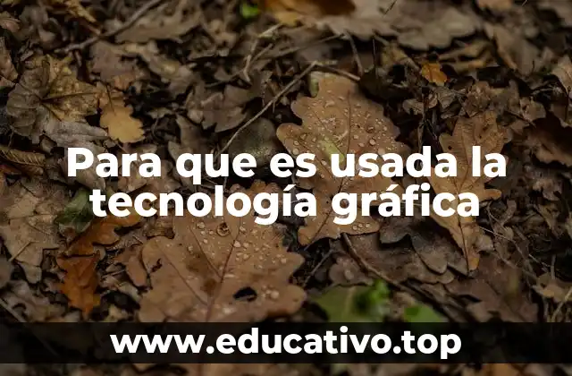 Para que es usada la tecnología gráfica
