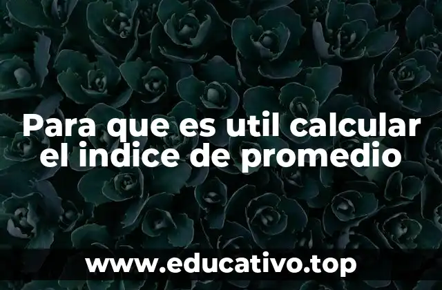 Para que es util calcular el indice de promedio