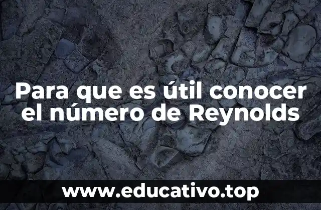 Para que es útil conocer el número de Reynolds