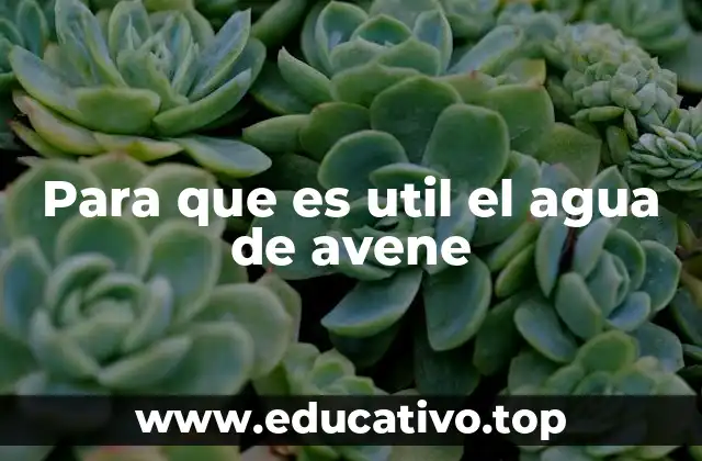 Para que es util el agua de avene