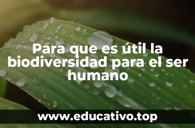 Para que es útil la biodiversidad para el ser humano