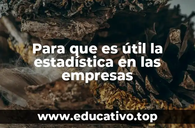 Para que es útil la estadística en las empresas
