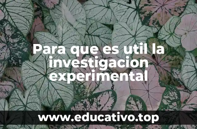 Para que es util la investigacion experimental
