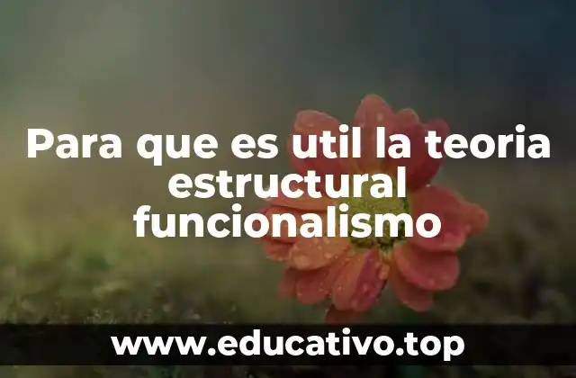 Para que es util la teoria estructural funcionalismo