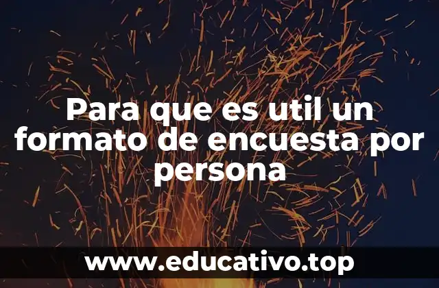 Para que es util un formato de encuesta por persona