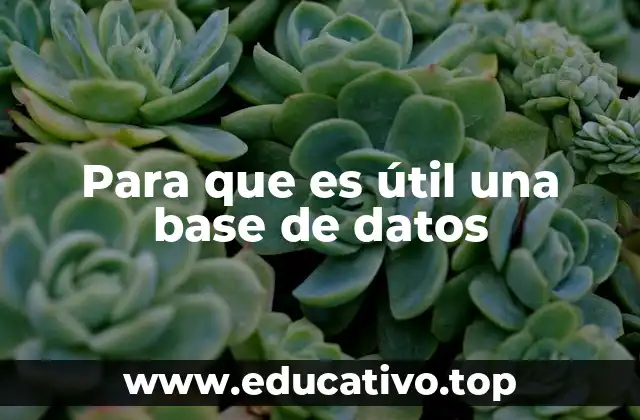 Para que es útil una base de datos