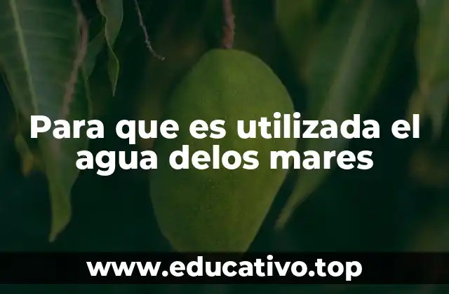 El agua marina como soporte de vida