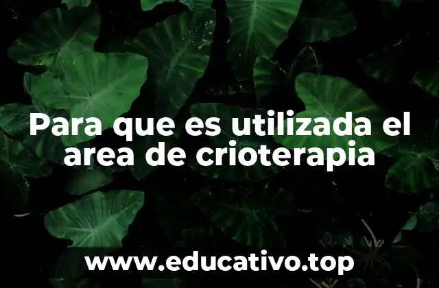 Para que es utilizada el area de crioterapia