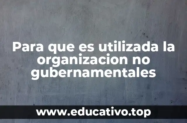 Para que es utilizada la organizacion no gubernamentales
