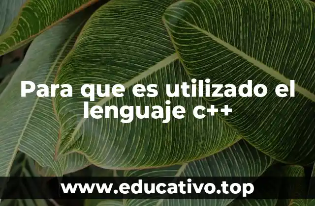 Para que es utilizado el lenguaje c++