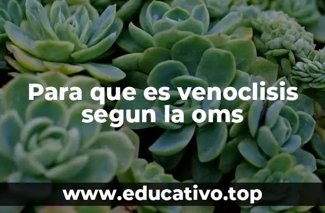 Para que es venoclisis segun la oms