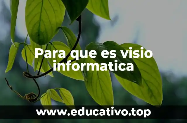 Para que es visio informatica