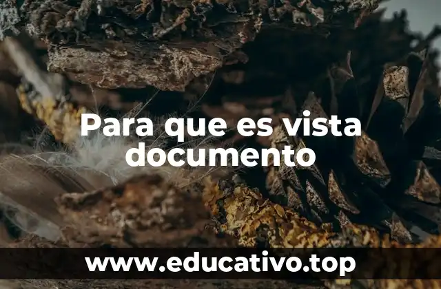 Para que es vista documento