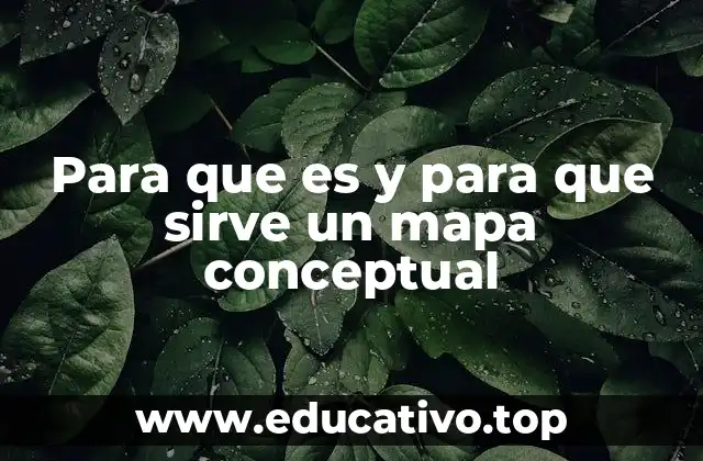 Para que es y para que sirve un mapa conceptual