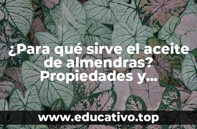 ¿Para qué sirve el aceite de almendras? Propiedades y beneficios del aceite de almendras