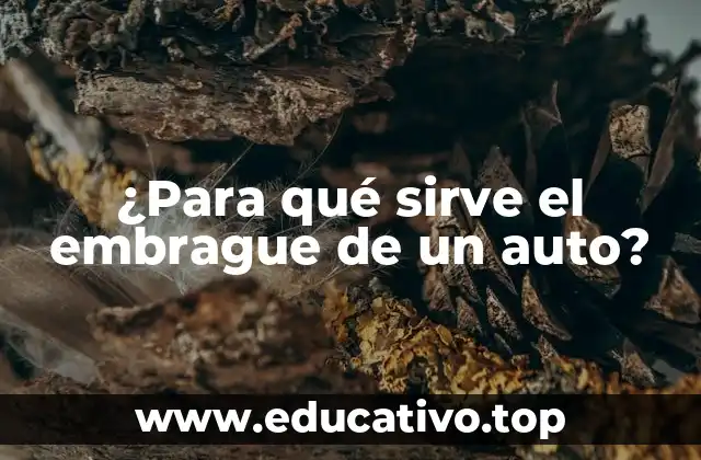 ¿Para qué sirve el embrague de un auto?